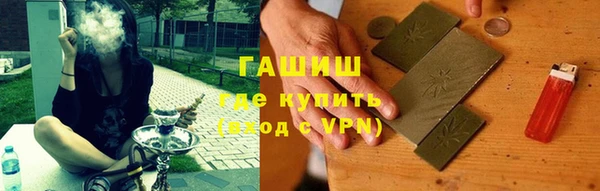 прущие грибы Медногорск