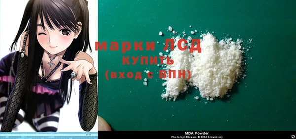 прущие грибы Медногорск
