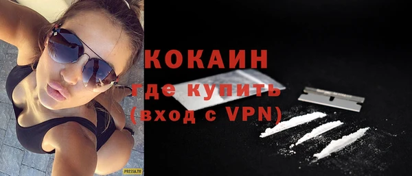 прущие грибы Медногорск