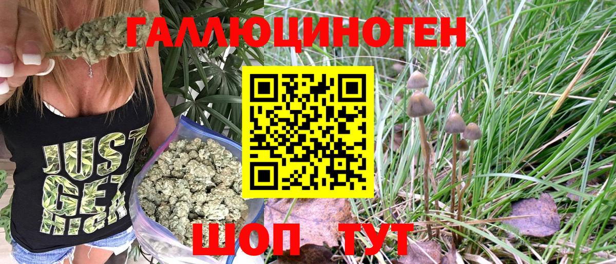 Псилоцибиновые грибы Psilocybe  Галлюциногенные грибы GOLDEN TEACHER  Вход с VPN  Химки 