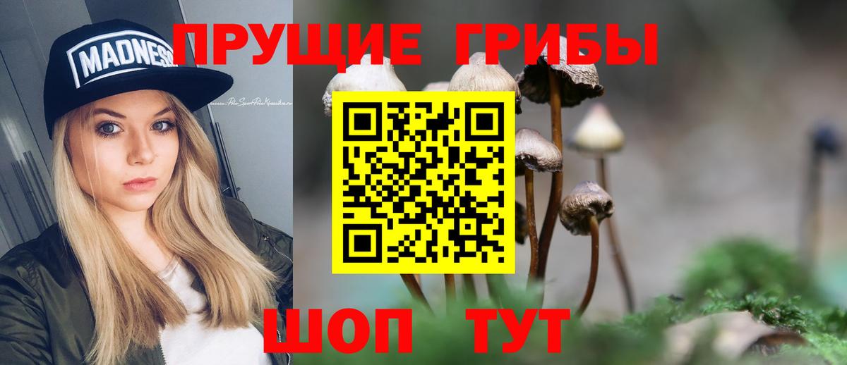 Галлюциногенные грибы MAGIC MUSHROOMS Химки